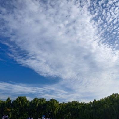 “高原蓝宝石”生态环境整体持续向好 青海湖实现华丽“蝶变”